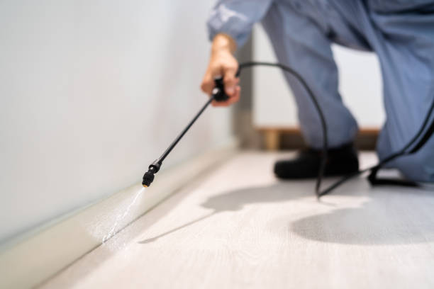 Professional exterminator conducting IPM assessment in Red Oak