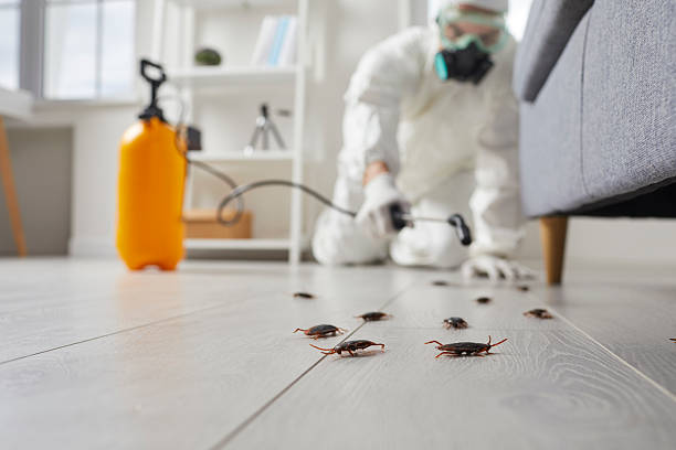 Commercial Rodent Management in Red Oak